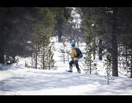 Cross Country Skiing by Finland